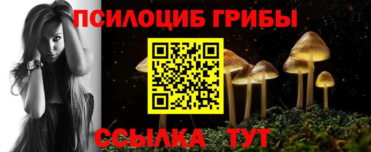 Миллерово  закладка  Вход с VPN  Галлюциногенные грибы ЛСД  Псилоцибиновые грибы Magic Shrooms 