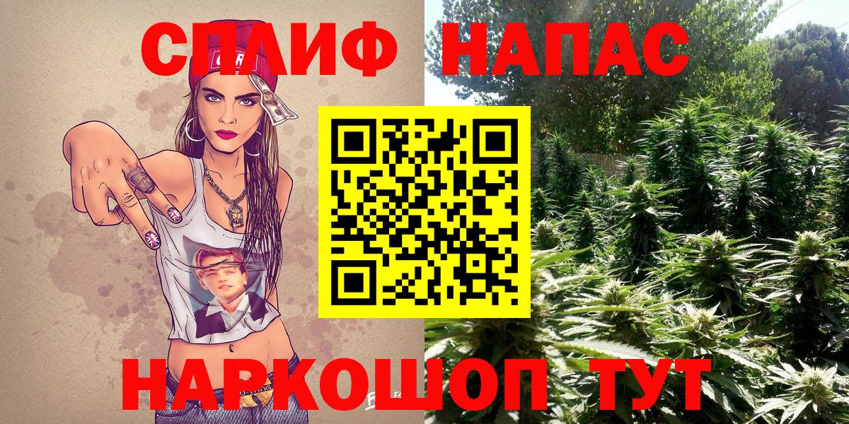 Бошки Шишки сатива Миллерово